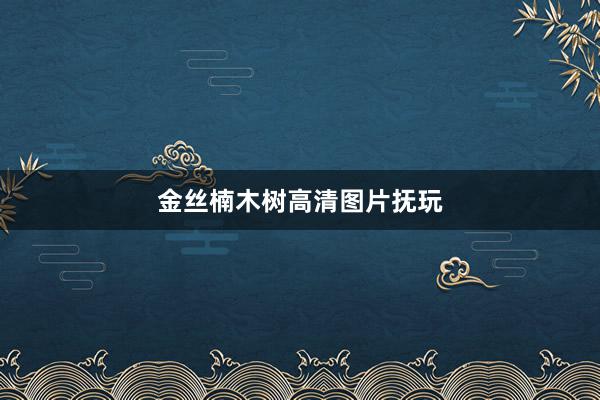 金丝楠木树高清图片抚玩